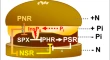 plant research articles