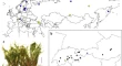 research paper on plant biology research paper on plant biology