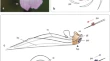 research paper on plant biology research paper on plant biology