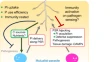 plant biology research plant biology research