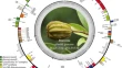 plant biology research plant biology research