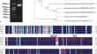 plant biology research plant biology research