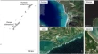 research articles on genetic diversity research articles on genetic diversity