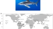 research articles on genetic diversity research articles on genetic diversity