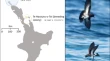 research articles on genetic diversity research articles on genetic diversity