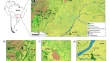 research articles on genetic diversity research articles on genetic diversity