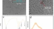 nanoparticles research topics nanoparticles research topics