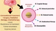 nanoparticles research paper