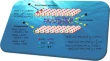 effects of air pollution research paper