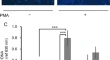 immunology research journal articles