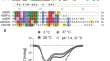 nmr assignments abbreviation nmr assignments abbreviation