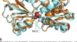 brucine nmr assignment