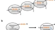 nmr assignments abbreviation nmr assignments abbreviation