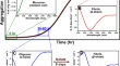 nmr assignments abbreviation nmr assignments abbreviation