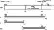 nmr assignments abbreviation nmr assignments abbreviation