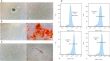 phd tissue engineering and regenerative medicine phd tissue engineering and regenerative medicine