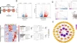 phd tissue engineering and regenerative medicine phd tissue engineering and regenerative medicine