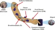 biomedical engineering research paper topics