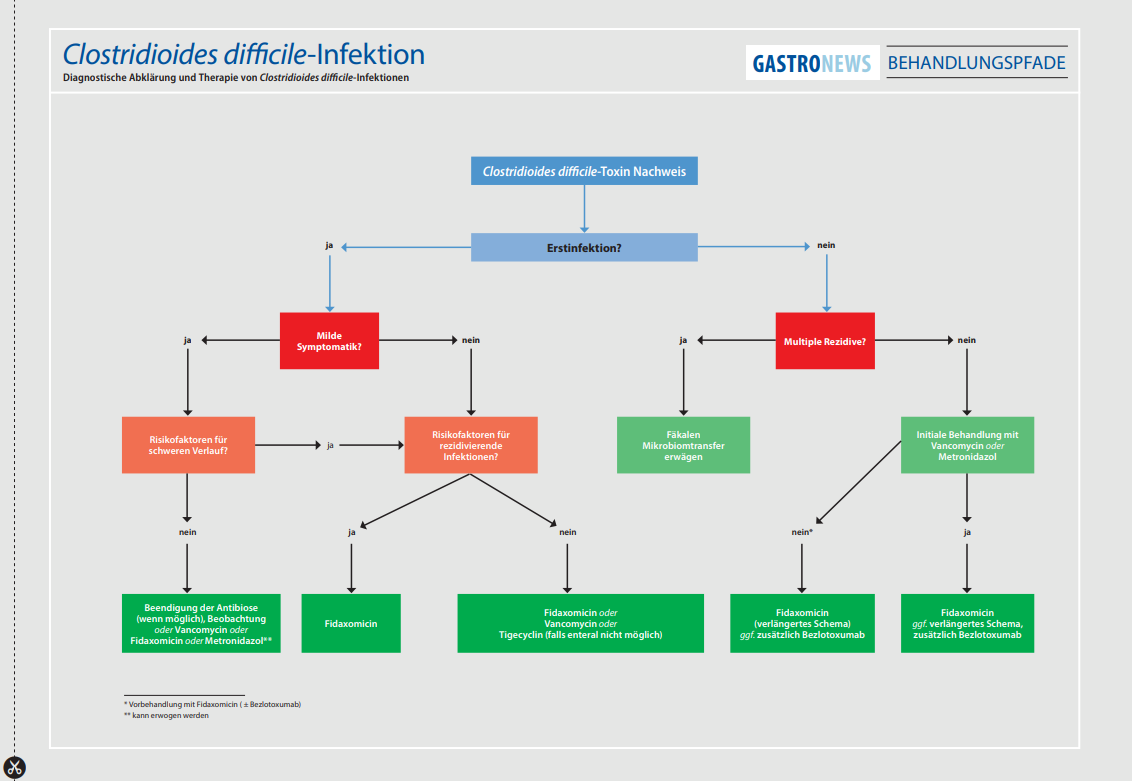 Clostridioides difficile-Infektion