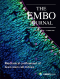 The EMBO Journal