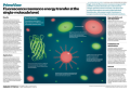 Fluorescence resonance energy transfer at the single-molecule level