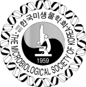 MSK Logo 2021