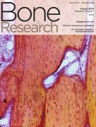 Bone Research