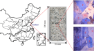 Effect of pre-existing cracks on thermal cracking of granitic rocks under  confinement