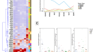 endometrial cancer research paper endometrial cancer research paper