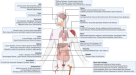 research article on mesenchymal stem cells research article on mesenchymal stem cells