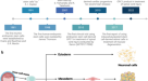 research article on mesenchymal stem cells research article on mesenchymal stem cells