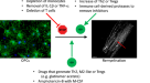 Stroke subtype-dependent synapse elimination by reactive gliosis in mice