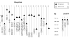 data presentation or analysis data presentation or analysis