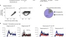 research articles about neurons research articles about neurons