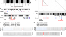 BED-domain-containing immune receptors confer diverse resistance spectra to  yellow rust