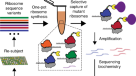 Dynamic allocation of orthogonal ribosomes facilitates uncoupling