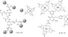 One-Step, Rapid, 18F–19F Isotopic Exchange Radiolabeling of  Difluoro-dioxaborinins: Substituent Effect on Stability and In Vivo  Applications