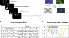 A three-dimensional virtual mouse generates synthetic training data for  behavioral analysis