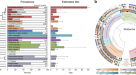 Distinct genomic routes underlie transitions to specialised