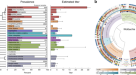 Distinct genomic routes underlie transitions to specialised symbiotic  lifestyles in deep-sea annelid worms