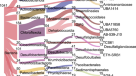 Enzyme adaptation to habitat thermal legacy shapes the thermal plasticity  of marine microbiomes