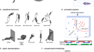 3D mouse pose from single-view video and a new dataset