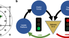 Synthesizing theories of human language with Bayesian program induction