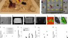 3D mouse pose from single-view video and a new dataset