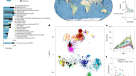 Unraveling the functional dark matter through global metagenomics