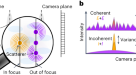 3D scattering microphantom sample to assess quantitative accuracy in  tomographic phase microscopy techniques