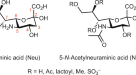 Glycoproteomics  Nature Reviews Methods Primers