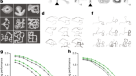 Predicting driving speed from psychological metrics in a virtual reality  car driving simulation