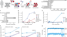 Telomere-to-mitochondria signalling by ZBP1 mediates replicative crisis