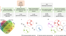 Unraveling the functional dark matter through global metagenomics